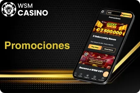 WSM Promociones